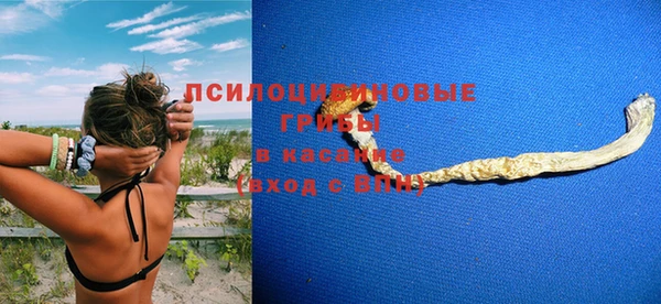 ПСИЛОЦИБИНОВЫЕ ГРИБЫ Абинск