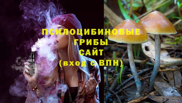 сатива Абаза