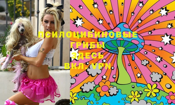 ПСИЛОЦИБИНОВЫЕ ГРИБЫ Абинск