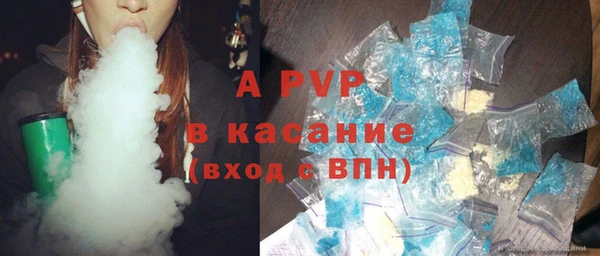 сатива Абаза