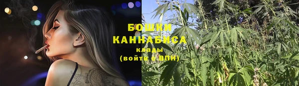 сатива Абаза