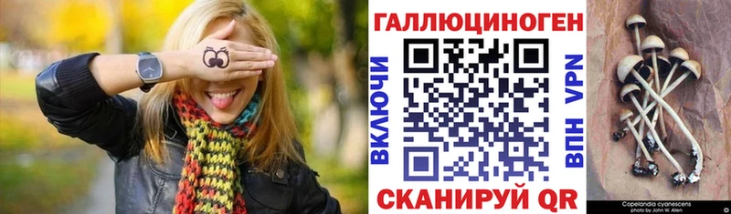 Галлюциногенные грибы Cubensis  Норильск 